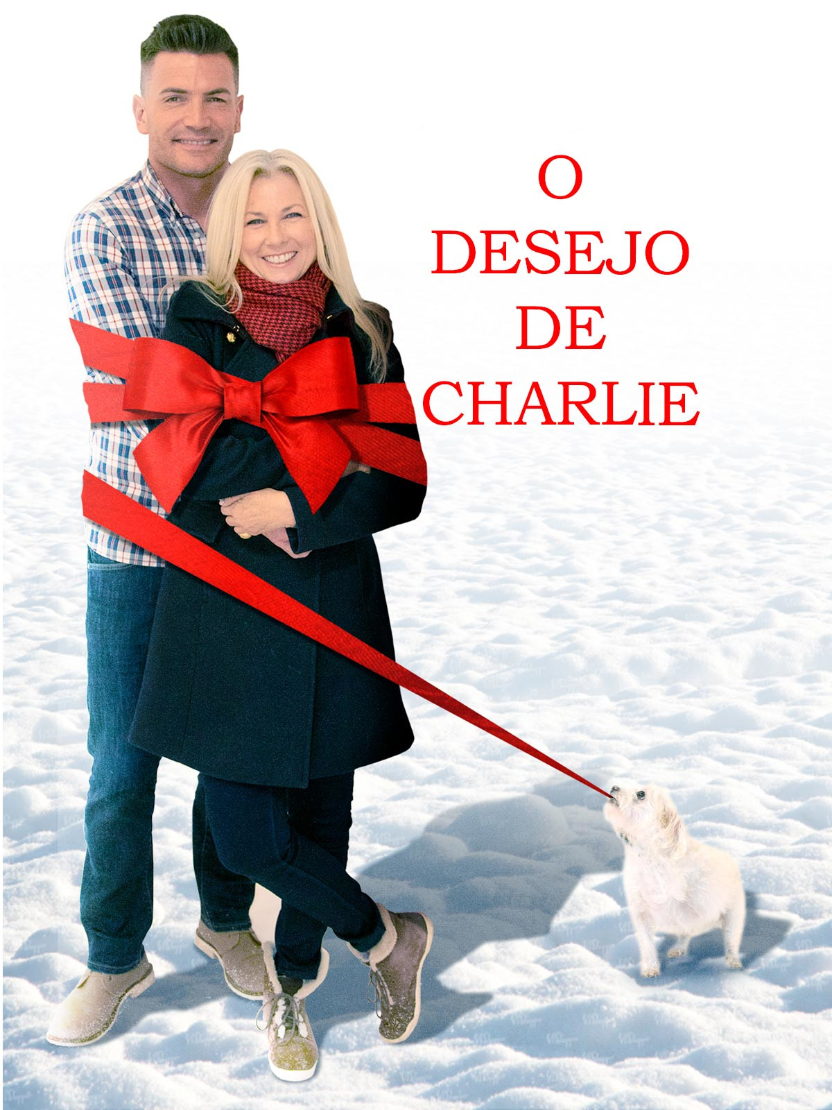 O Desejo de Charlie