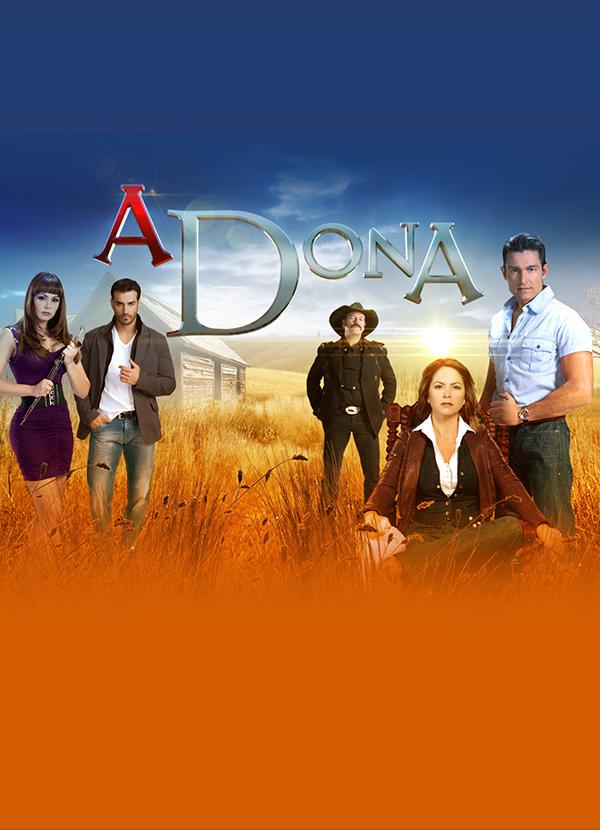 Novela - A Dona