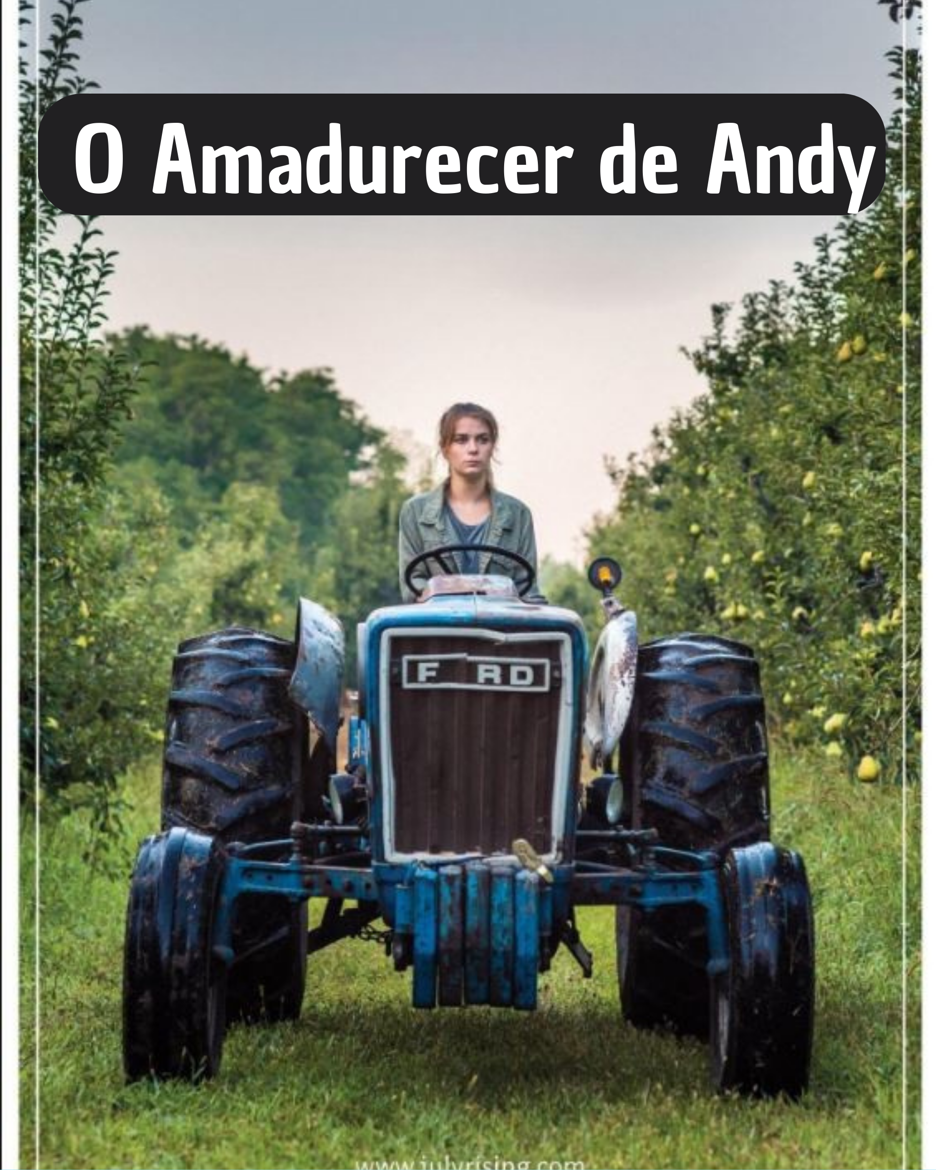 O Amadurecer de Andy