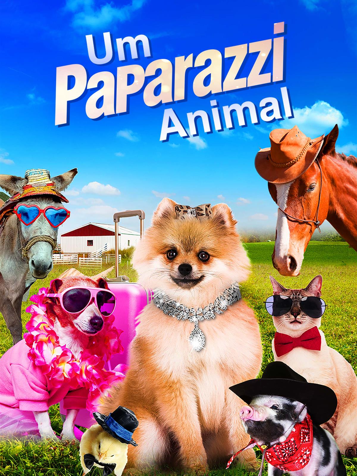 Um Paparazzi Animal (2019)