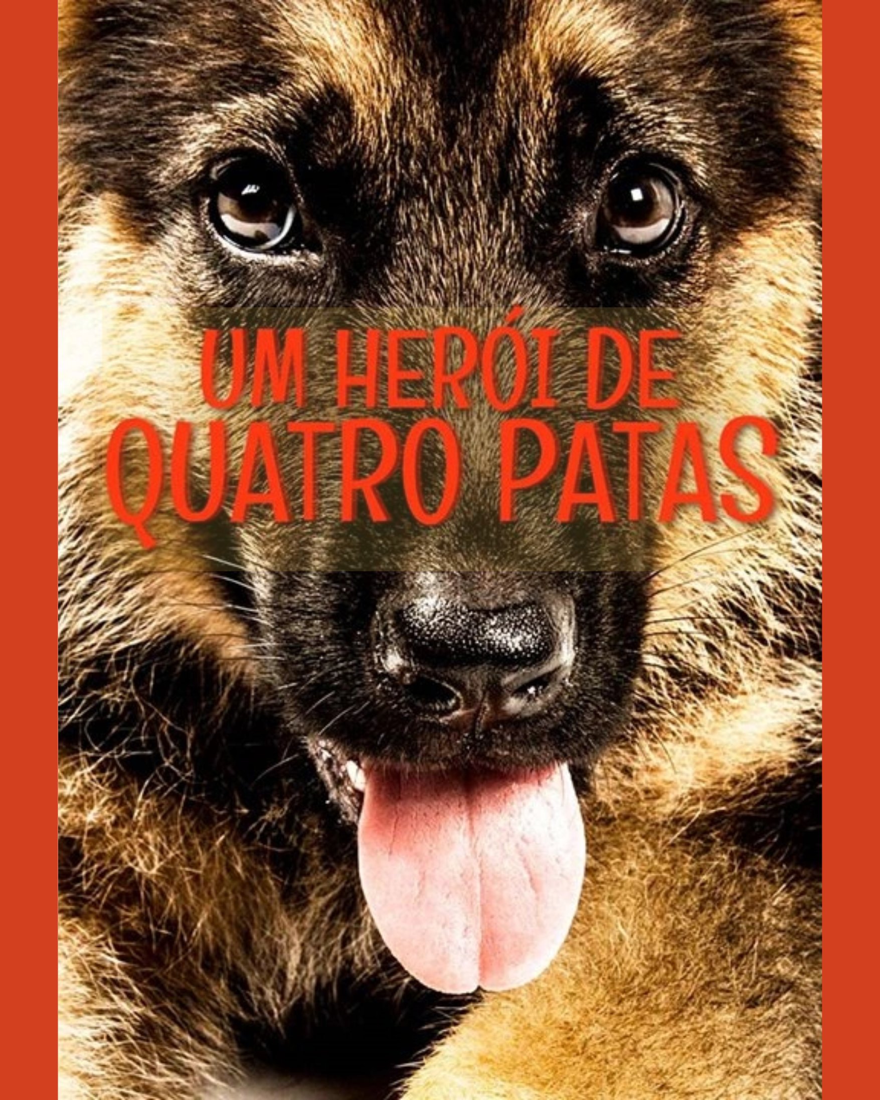 Um Herói de 4 Patas